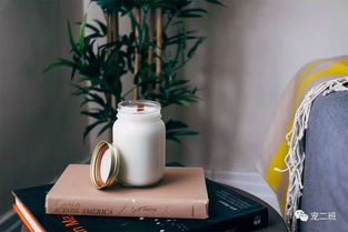 人吃的美食，狗狗能食用嗎？警惕這些甜蜜陷阱——詳解狗狗不能吃的甜味烘焙產(chǎn)品